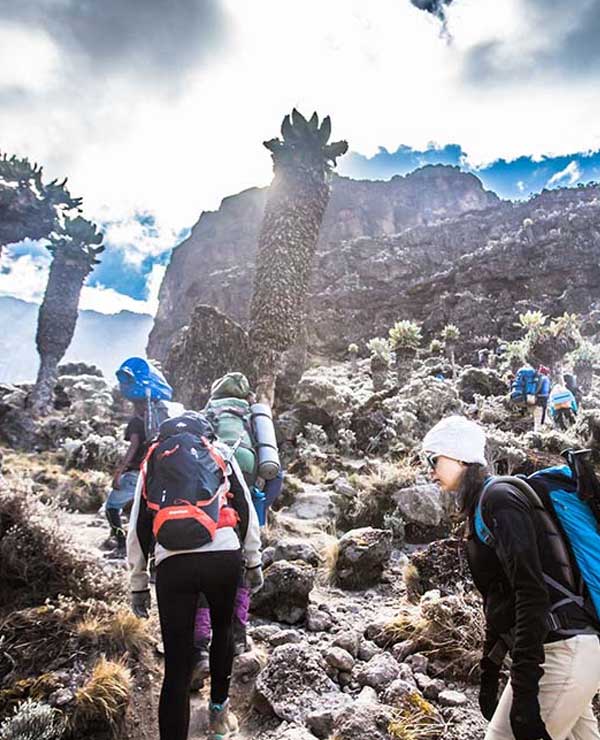 Machame route