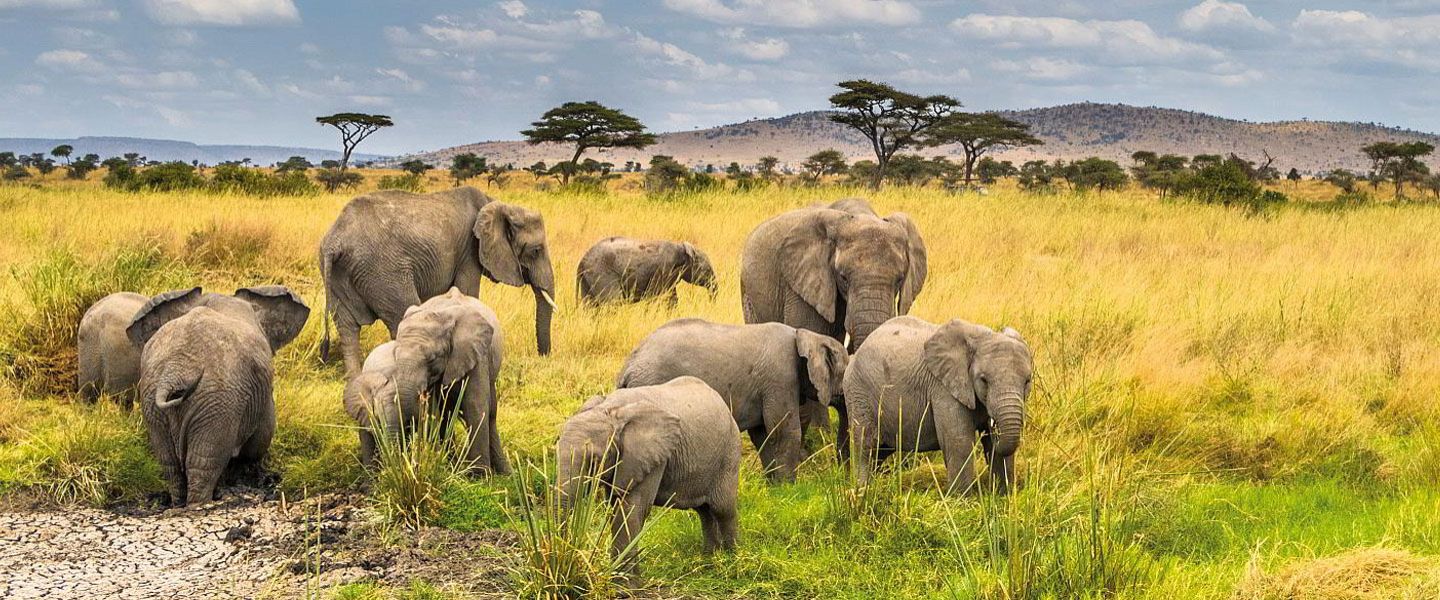 6 Days Big Five Safari in Northern Tanzania