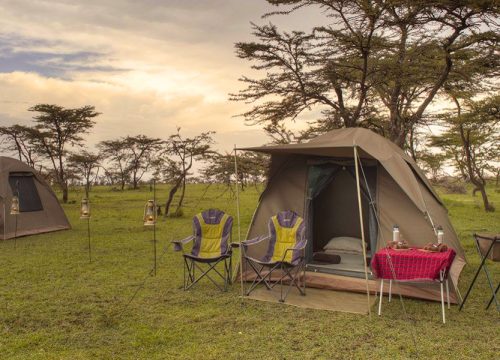 7 Days Camping Safari in Northern Tanzania