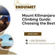 Mount Kilimanjaro Climbing Guide Choosing the Best Time
