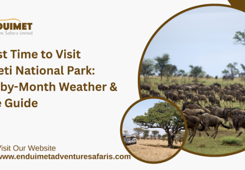 The Best Time to Visit Serengeti National Park: Month-by-Month Weather & Wildlife Guide