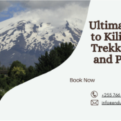 Ultimate-Guide-to-Kilimanjaro-Trekking.png
