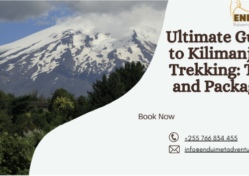 Ultimate Guide to Kilimanjaro Trekking: Tips and Packages