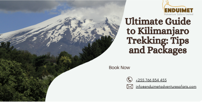 Ultimate Guide to Kilimanjaro Trekking: Tips and Packages