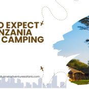 What to Expect on a Tanzania Private Camping Safari