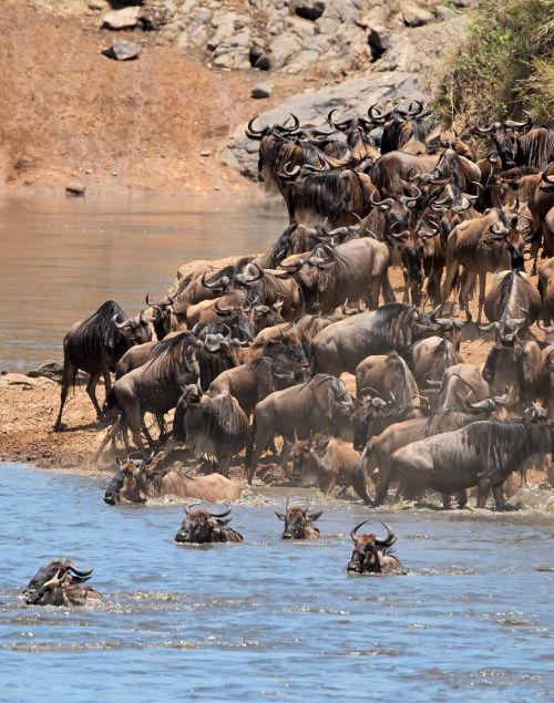 Serengeti National Park