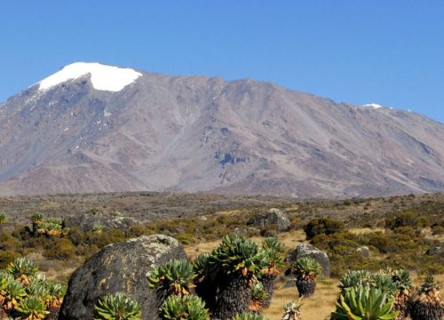 7 Days Machame Route Kilimanjaro Trekking