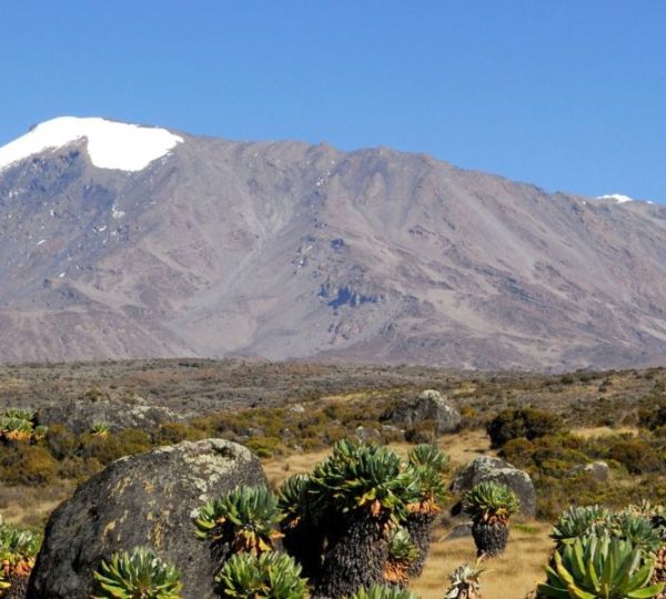 7 Days Machame Route Kilimanjaro Trekking
