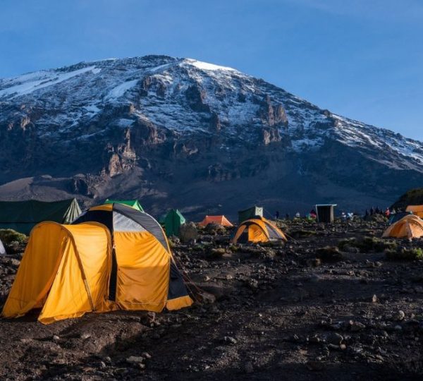 7 Days Lemosho Route Kilimanjaro Trekking