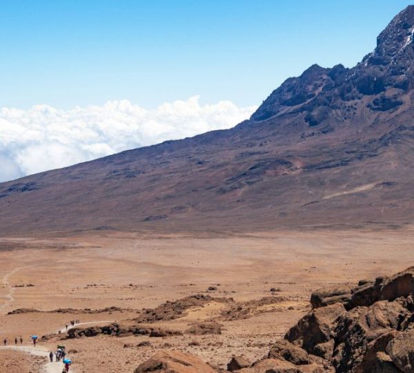 6 Days Rongai Route Kilimanjaro Trekking