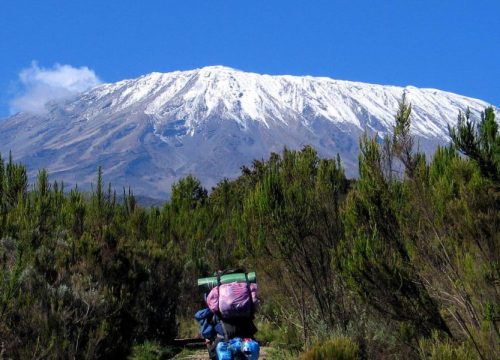 7 Days Rongai Route Kilimanjaro Trekking