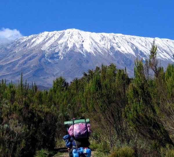 7 Days Rongai Route Kilimanjaro Trekking