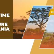 A First-Time Safari Adventure in Tanzania