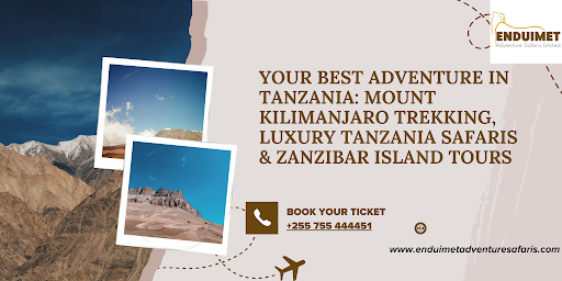 Your Best Adventure in Tanzania: Mount Kilimanjaro Trekking, Luxury Tanzania Safaris & Zanzibar Island Tours